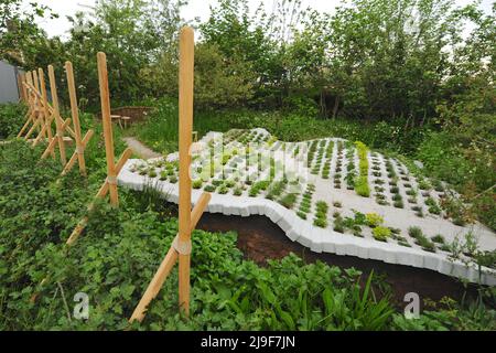 Londres, Royaume-Uni. 23rd mai 2022. The Alder Hey Urban Foraging Station Garden, l'un des beaux jardins exposés au Royal Horticultural Society Chelsea Flower Show 2022 qui a ouvert aujourd'hui sur le terrain du Royal Hospital Chelsea à Chelsea, Londres, Royaume-Uni - 23 mai 2022. Le jardin de la station de recherche urbaine Alder Hey est un paysage qui réunit jeunes et vieux, verts et urbains, jeux et apprentissage, et l'Hôpital pour enfants Alder Hey avec sa communauté. Au cœur de ce programme, on trouve l'aspiration à inspirer les enfants à mener une vie active, saine et agréable. Crédit : Michael Preston/Alam Banque D'Images