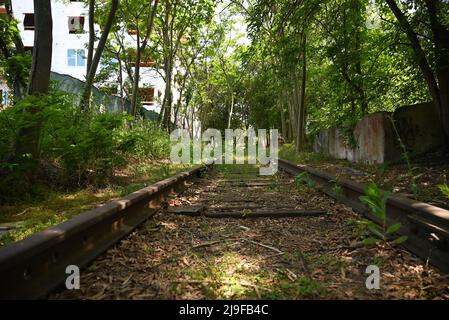 Une longue ligne ferroviaire industrielle abandonnée et surcultivée menant au centre-ville de Durham, en Caroline du Nord Banque D'Images