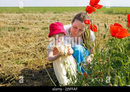 Une fille et sa mère cueillant des fleurs de pavot rouge Banque D'Images