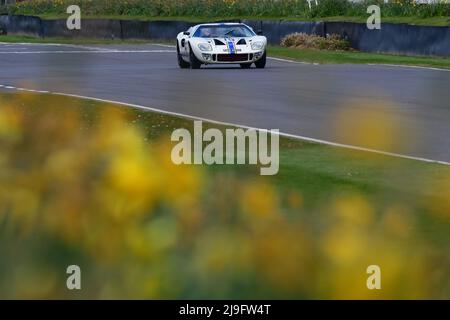 Une foule de jonquilles en premier plan, Michael Birch, Ford GT40, Surtees Trophy un seul pilote de vingt-cinq minutes pour un prototype sportif illimité Banque D'Images