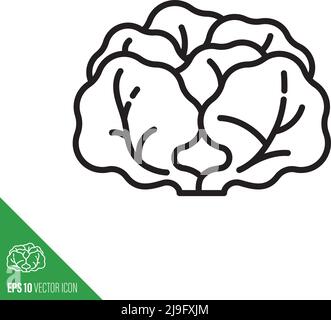 Icône de légume feuille de laitue au beurre, illustration vectorielle de style Illustration de Vecteur