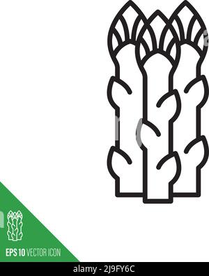 Blanc asperges pousses icône de légume, dessin vectoriel de style de contour Illustration de Vecteur