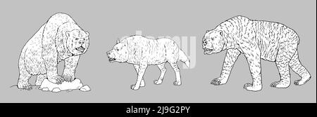 Prédateurs préhistoriques - ours troglodyte, loup sinistre et ours à courte face. Dessiner avec un prédateur éteint. Livre de coloriage avec loup et ours. Banque D'Images