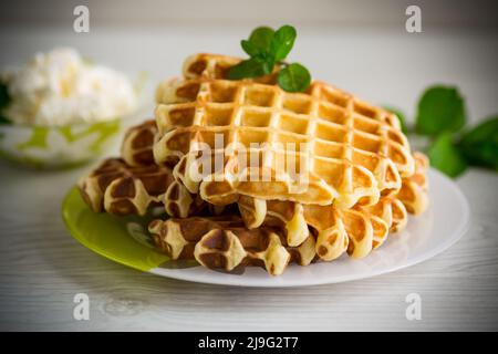 Wafers de fromage cottage doux avec une branche de menthe dans une assiette, sur une table en bois. Banque D'Images