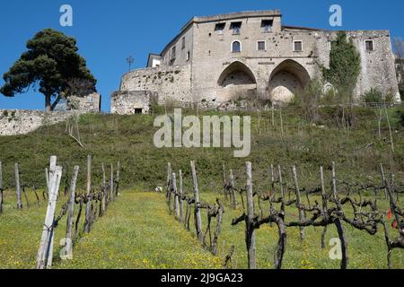 Village fortifié de Taurasi au sommet de la colline, vignoble en face du vieux village dans le sud de l'Italie Banque D'Images