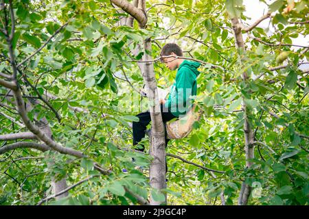 Un petit garçon sur un arbre lit un livre d'histoire. Enfant étudiant dans un arbre. Un enfant lit un roman. Enfant lisant un livre d'histoire assis sur un arbre Banque D'Images