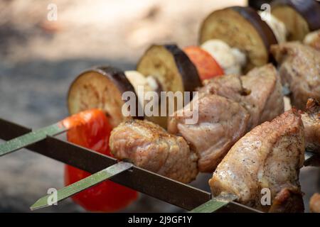 brochettes de shish frites sur un feu dans la forêt sur un pique-nique sur brochettes, brochettes de shish rôties dans la nature, viande Banque D'Images