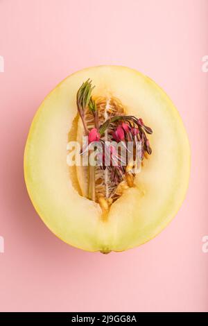 Tranches de melon mûr jaune et de fleurs de dicentra sur fond rose pastel. Vue de dessus, plat, gros plan. Récolte, santé des femmes, nourriture végétalienne, concept, min Banque D'Images