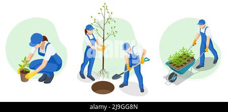Plantules isométriques de jeunes légumes transplantées dans des pots de tourbe à l'aide d'outils de jardin. Les gens plantent des arbres fruitiers Illustration de Vecteur