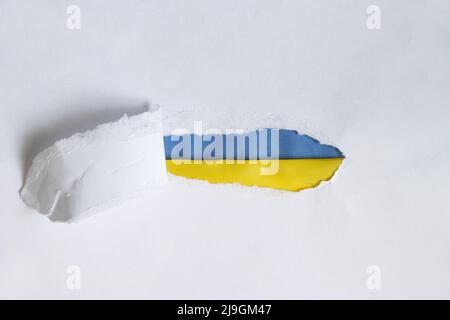 Le drapeau national jaune et bleu de l'Ukraine est vu d'un morceau de papier déchiré sur un fond blanc, arrêter la guerre et la paix en Ukraine, arrêter la guerre Banque D'Images