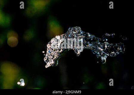 Les gouttes d'eau se levissent sur fond sombre. De l'eau éclabousse dans l'obscurité avec des gouttes d'eau qui volent Banque D'Images