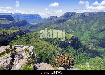 Vue de Lowveld point de vue sur le Blyde River Canyon / Blyderivierspoort, province de Mpumalanga, Afrique du Sud Banque D'Images