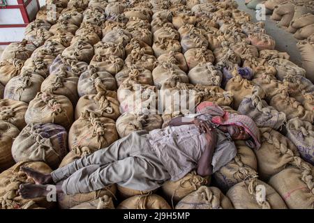 New Delhi, Inde. 23rd mai 2022. Le travailleur fait une sieste sur les sacs de blé emballé au marché des céréales de Narela, New Delhi. La politique d'exportation de blé de l'Inde a été modifiée le 13 mai 2022 par la notification de la Direction générale du commerce extérieur. Crédit : SOPA Images Limited/Alamy Live News Banque D'Images