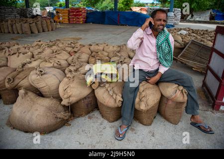 New Delhi, Inde. 23rd mai 2022. Un travailleur parle au téléphone tout en étant assis sur des sacs de blé emballé au marché des céréales de Narela, New Delhi. La politique d'exportation de blé de l'Inde a été modifiée en mai 13 2022 par notification de la Direction générale du commerce extérieur. Crédit : SOPA Images Limited/Alamy Live News Banque D'Images