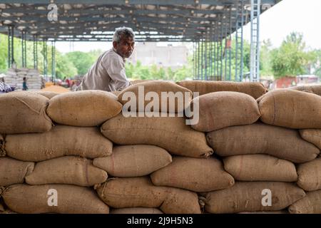 New Delhi, Inde. 23rd mai 2022. Le travailleur repose sur des sacs de blé emballé au marché des céréales de Narela, New Delhi. La politique d'exportation de blé de l'Inde a été modifiée le 13 mai 2022 par la notification de la Direction générale du commerce extérieur. Crédit : SOPA Images Limited/Alamy Live News Banque D'Images