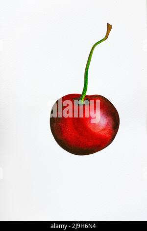 aquarelle une cerise sur un fond blanc Banque D'Images