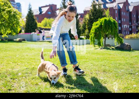 Une fille joue avec son chiot corgi sur une pelouse verte par temps ensoleillé. Banque D'Images