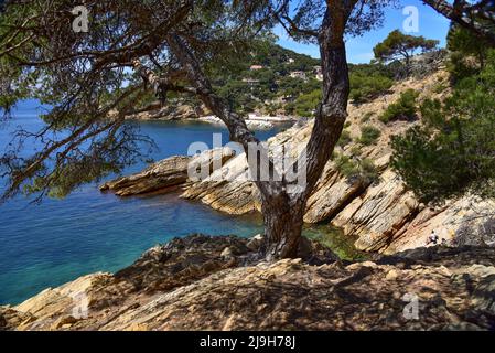 Calanque de Méjan sur la voie douanière (chemin des Douaniers) sur la Côte d'Azur, Provence-Alpes-Côte d'Azur, France, Europe Banque D'Images