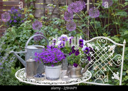 décoration de jardin avec fleur en cloche et fleurs violettes violettes dans des pots vintage Banque D'Images