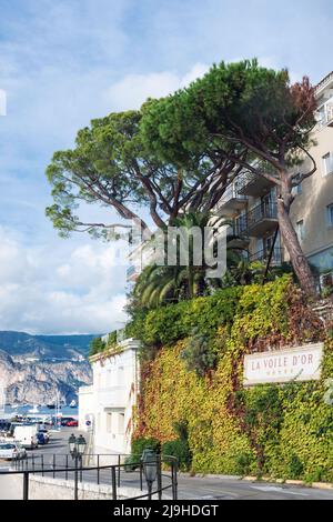 Saint-Jean-Cap-Ferrat, France, septembre 2021. Belle vue sur la mer, la montagne et l'arbre, le parking des yachts et des bateaux dans la station de Banque D'Images