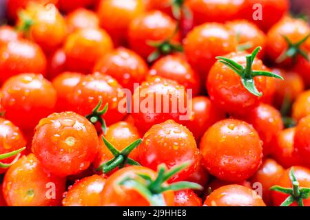 Tomates cerises fraîchement rincées à l'eau. Banque D'Images