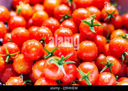 Tomates cerises fraîchement rincées à l'eau. Banque D'Images