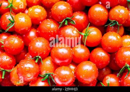Tomates cerises fraîchement rincées à l'eau. Banque D'Images