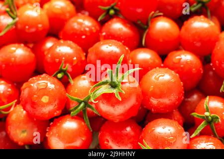 Tomates cerises fraîchement rincées à l'eau. Banque D'Images