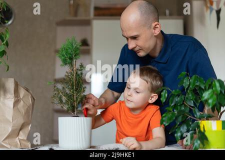 Homme avec son plantant à la maison Banque D'Images