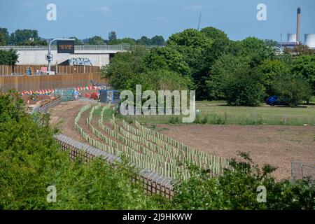 Dorney Reach, Royaume-Uni. 22nd mai 2022. Nouveaux arbres de jeunes arbres dans des couvertures en plastique plantées à côté de la M4. Le M4 a de nouveau été fermé ce week-end entre la jonction 6 (Slough/Windsor) et la jonction 8/9 (Maidenhead) pour des travaux de construction en cours sur la controversée mise à niveau de l'autoroute intelligente M4. Crédit : Maureen McLean/Alay Banque D'Images