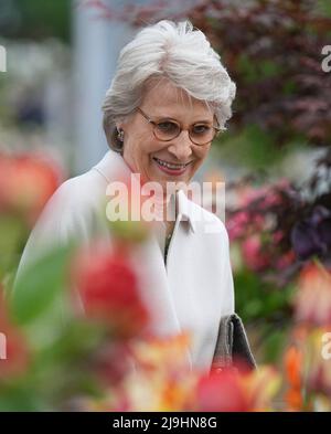 La duchesse de Gloucester lors d'une visite de membres de la famille royale au RHS Chelsea Flower Show 2022, au Royal Hospital Chelsea, à Londres. Date de la photo: Lundi 23 mai 2022. Banque D'Images