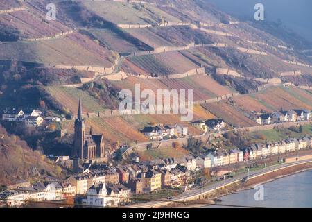 Lumière brillant sur le village de Lorchhausen avec l'église paroissiale Saint Bonifatius et d'autres bâtiments dans une rangée sous un vignoble sur une colline sur une chute de brouillard jour i Banque D'Images