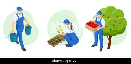 Jardiniers isométriques, agriculteurs et travailleurs s'occupant du jardin, cultivant des produits agricoles. Pommes mûres en verger prêtes pour la récolte Illustration de Vecteur