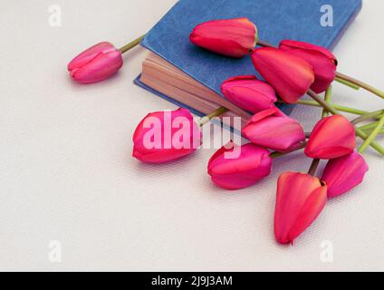Bouquet de tulipes rouges tendres sur un livre bleu avec espace de copie. Banque D'Images