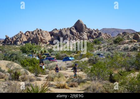 'Shkull Rock', Un point de repère dans le parc national de Joshua Tree, est escaladé par les touristes sur les rochers uniques, dans le désert de Mojave, CA Banque D'Images