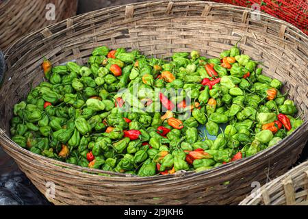 bouillon de piments rouges et verts épicés et chauds en magasin à vendre Banque D'Images