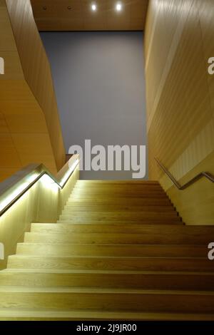 Escalier au Musée des Beaux-Arts de Leipzig, Saxe Banque D'Images