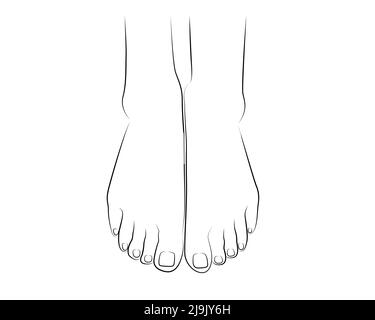 Belle femme pieds ligne dessin isolé sur fond blanc - illustration vectorielle Illustration de Vecteur