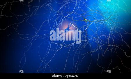 Connexions Synapse. Structure qui permet à un neurone ou à une cellule nerveuse de transmettre un signal électrique ou chimique à un autre neurone. Cerveau. Réseau neuronal Banque D'Images