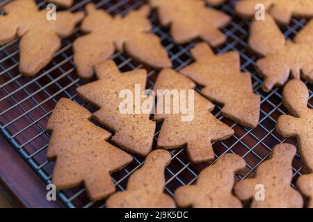 Gros plan des biscuits cuits au pain d'épice d'arbre de Noël refroidissant sur le porte-vêtements Banque D'Images