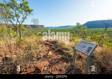 Panneau aborigène Dreaming Story le long de l'escarpement Walk, Gregory National Park, territoire du Nord, territoire du Nord, Australie Banque D'Images