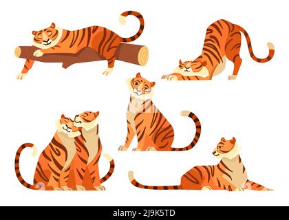 Ensemble d'illustrations de dessins animés de jolis tigres en différentes poses. Tigre africain et tigress assis ensemble. Wildcats s'étirant, dormant sur la branche d'arbre. Wil Illustration de Vecteur