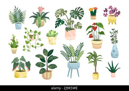 Jeu d'illustrations vectorielles plates de plantes de maison en pot différentes. Fleurs ou plantes d'intérieur dans des pots de fleurs ou vases, alocasie, begonia dans des pots isolés sur whi Illustration de Vecteur