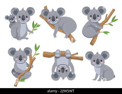 Joli koala assis sur l'eucalyptus dessin animé ensemble. Adorable ours australien avec bébé, allongé et suspendu sur un arbre, tenant une branche de feuille. Wi Illustration de Vecteur