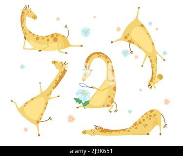 Girafes drôles avec fleurs ensemble d'illustrations de dessin animé. Adorables animaux sauvages heureux avec des lunettes coulant, assis, regardant la fleur à travers le grossissant gla Illustration de Vecteur