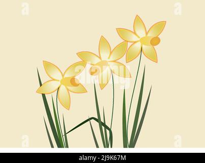 Illustration de trois jonquilles jaunes avec des feuilles isolées sur fond clair. Motif vectoriel, Pâques, concept de printemps. Illustration de Vecteur