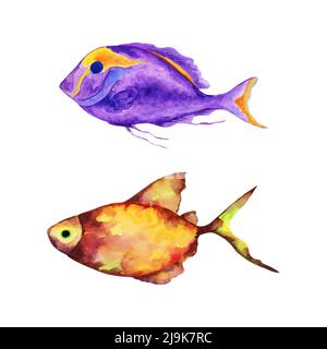 Monde sous-marin de la mer ou de l'océan.poissons tropicaux aquarelle. Banque D'Images