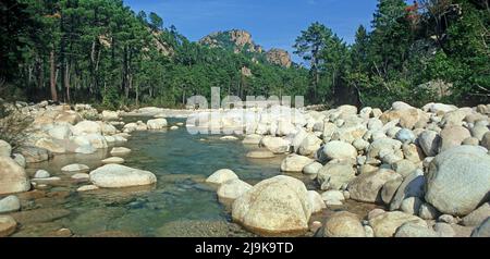 Ruisseau avec des blocs de granit à Solenzara, Corse, France, Mer méditerranée, Europe Banque D'Images