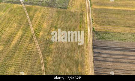 Vue aérienne d'un terrain avec des champs de semé en campagne. L'agriculture paysagère. Campagne. Vue de dessus des terres agricoles Banque D'Images