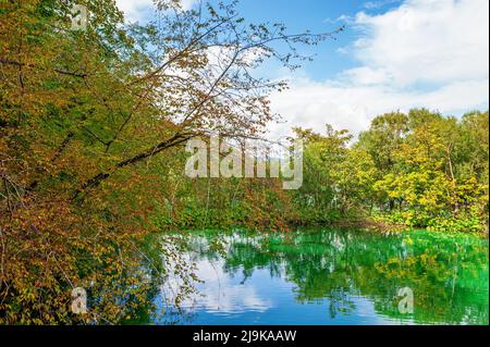 Chutes d'eau reflétées dans le lac. Le paysage magnifique de la cascade et du lac. Vue majestueuse sur le parc national des lacs de Plitvice. Banque D'Images